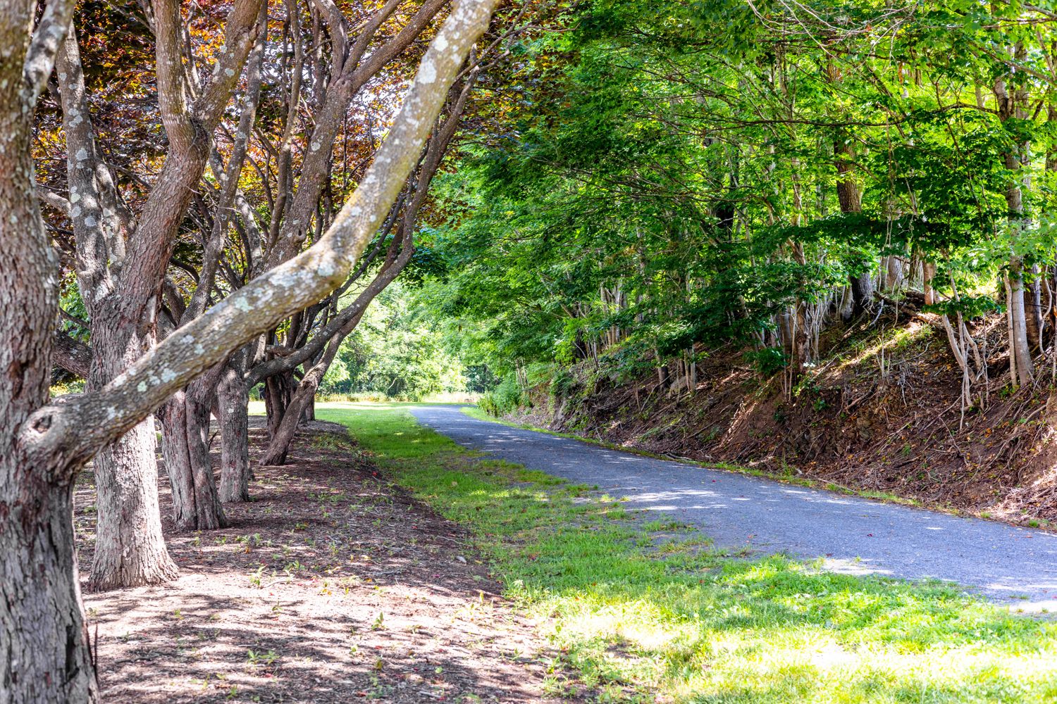The New River Trail